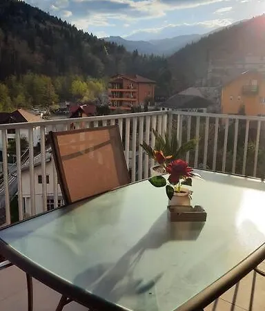 Apartment Erika Premium Sinaia