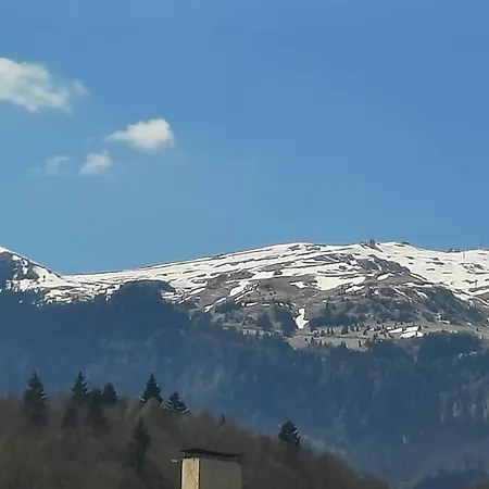 Erika Premium Apartment Sinaia