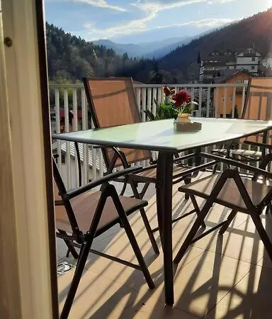 Erika Premium Apartment Sinaia