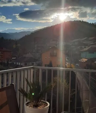 Apartment Erika Premium Sinaia